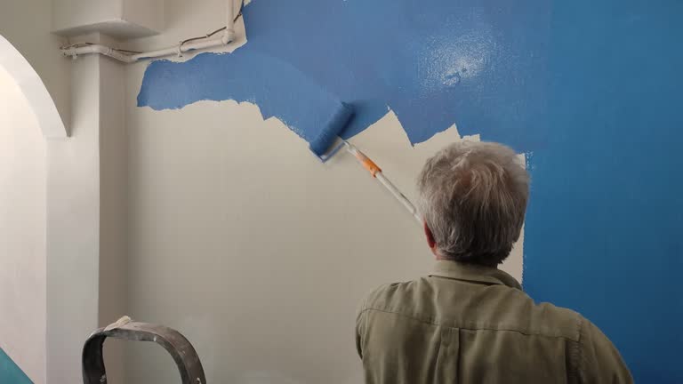 Trusted Viola, IL Drywall & Painting Services Experts